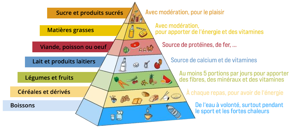 pyramide alimentaire